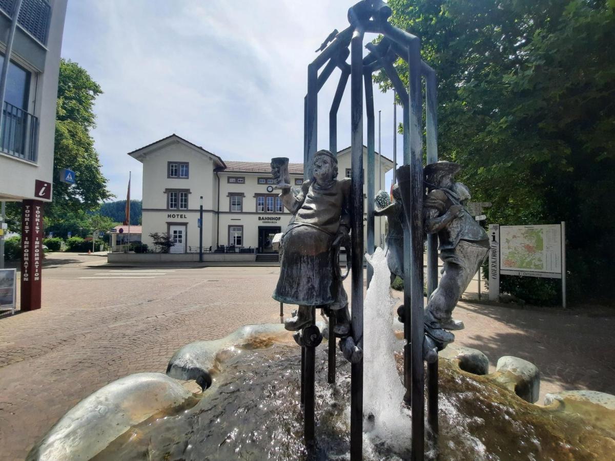 Ferienwohnung Altstadthaus Oberkirch  Eksteriør bilde